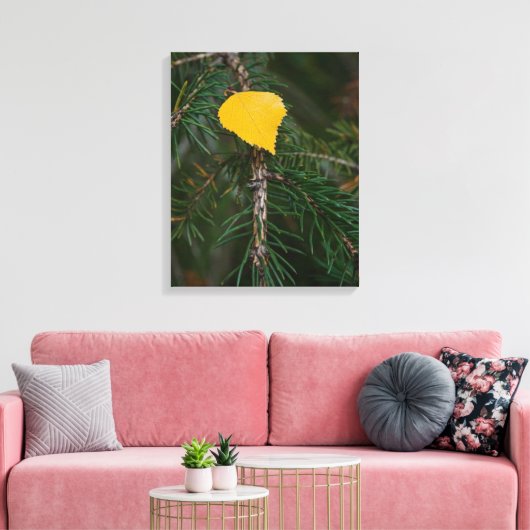 Herfst Aspen Leaf op Evergreen Contrastfoto Canvas Afdruk (Insitu (Woonkamer))