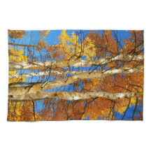 Herfst Aspen Natuur foto © Sandy Long