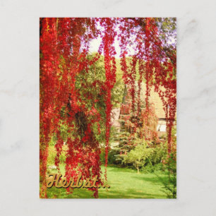 Herfst / Autumn Briefkaart