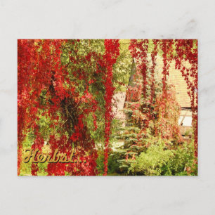 Herfst / Autumn Briefkaart