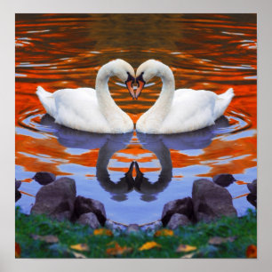 Herfst Autumn Lake Reflections van Swans in Love Poster