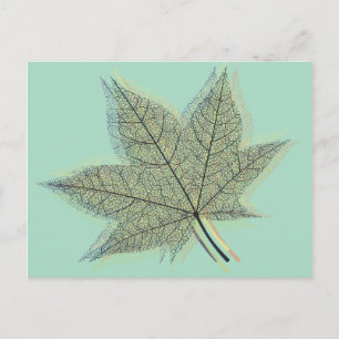 Herfst Autumn Leaf Briefkaart