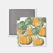 Herfst Autumn Waterverf  pompoenen Magneet (Voorkant / Achterkant)