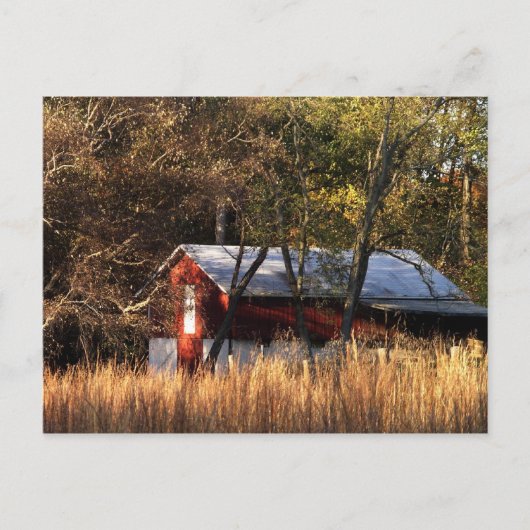 Herfst Barn in Centraal-Maryland Briefkaart (Voorkant)