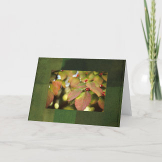Herfst bessen notecard kaart