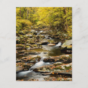 Herfst bij Big Creek Briefkaart