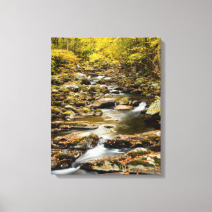 Herfst bij Big Creek Canvas Afdruk
