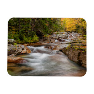 Herfst bij Jefferson Brook, New Hampshire Magneet
