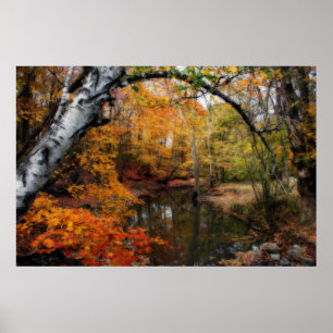 herfst bij petrischaaltjes poster