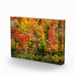 Herfst bij Sims Pond North Carolina, Blue Ridge Fotoblokken