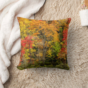 Herfst bij Sims Pond North Carolina, Blue Ridge Kussen
