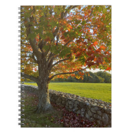 Herfst bij Stone Wall Spiraal Notebook Notitieboek