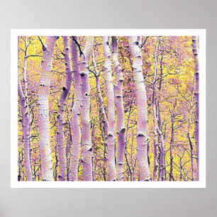 Herfst Birch Poster