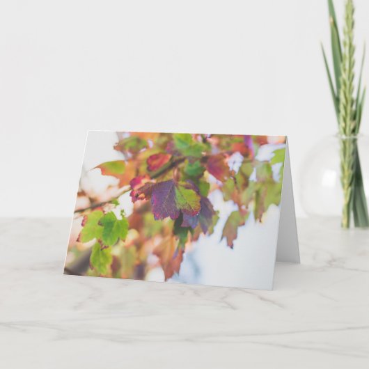 Herfst bladeren Kaart (Voorkant)