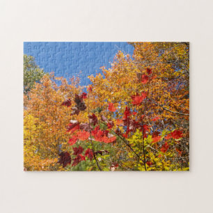 Herfst bladeren puzzel legpuzzel