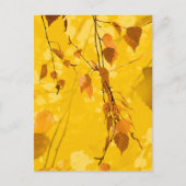 Herfst Blaves 3 Briefkaart (Voorkant)
