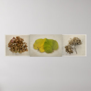 herfst bloemen tryptich poster