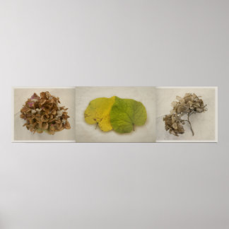 herfst bloemen tryptich poster