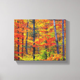 Herfst bomen omwikkeld canvas afdruk