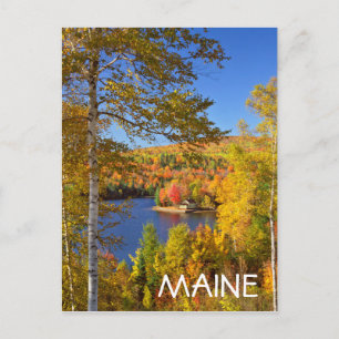 Herfst boom landschap, Maine Briefkaart