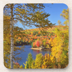 Herfst boom landschap, Maine Onderzetter