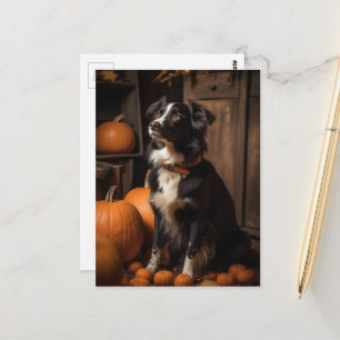 Herfst Border Collie en Pompoenen Briefkaart