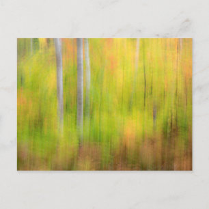 Herfst bos Michigan, Upper Peninsula Briefkaart