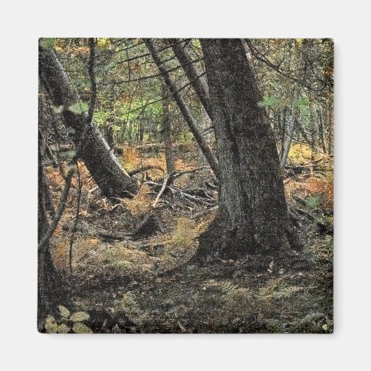 Herfst bos scène magneet (Voorkant)