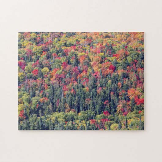 Herfst boslandschap legpuzzel (Horizontaal)