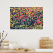Herfst boslandschap poster (Keuken)