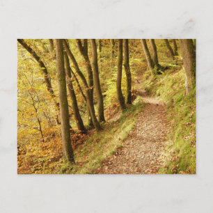 Herfst bospad briefkaart