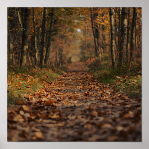 Herfst bospad poster