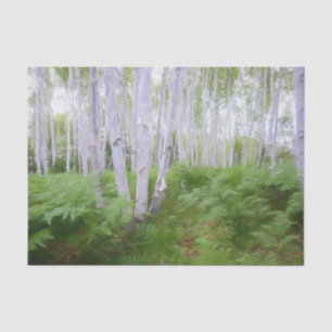 Herfst bosvaren groen bos berkenbomen kunst tissuepapier