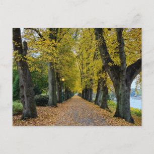 Herfst Briefkaart