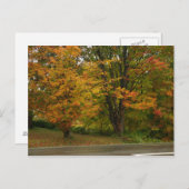 herfst briefkaart (Voorkant / Achterkant)