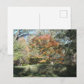 herfst briefkaart (Voorkant / Achterkant)
