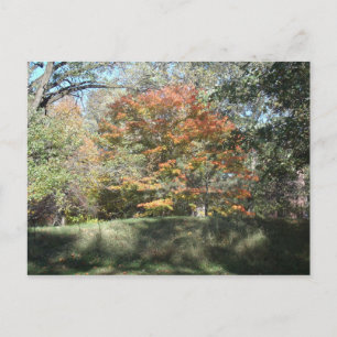 herfst briefkaart