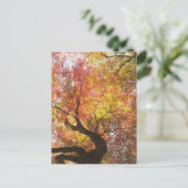 herfst briefkaart (Staand voorkant)