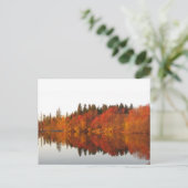 herfst briefkaart (Staand voorkant)