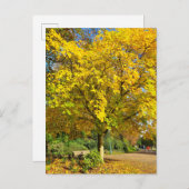 herfst briefkaart (Voorkant / Achterkant)