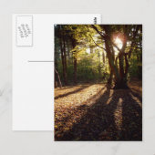 herfst | briefkaart (Voorkant / Achterkant)