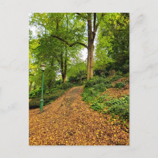 herfst briefkaart (Voorkant)