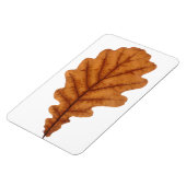 Herfst bruin eikenblad magneet (Linkerzijde)