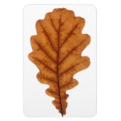 Herfst bruin eikenblad magneet (Verticaal)