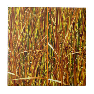 Herfst Cattails Tegeltje