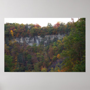 Herfst Cliffside Foto Poster