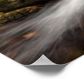 Herfst Color Jefferson Brook | Witte bergen Poster (Hoek)