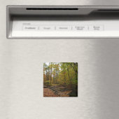 Herfst Creek bij Laurel Hill State Park Magneet (Insitu (Vaatwasser))