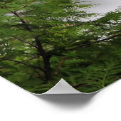 Herfst Creek Herfsten Poster (Hoek)