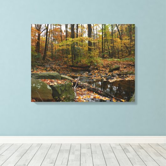 Herfst Creek met reflectie op Laurel Hill Park Canvas Afdruk (Insitu (Houten vloer))